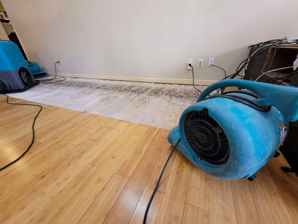 Professional Basement Flood Cleanup technician working in Thompson, ND